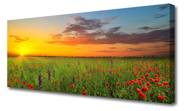 Tablou pe panza canvas Soare Meadow Flori Natura Galben Verde Roșu Violet