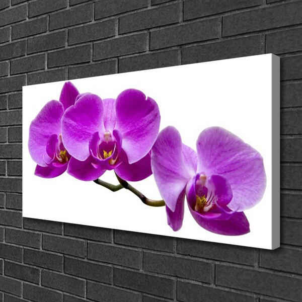 Tablou pe panza canvas Flori roz Floral