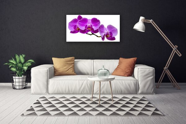 Tablou pe panza canvas Flori roz Floral