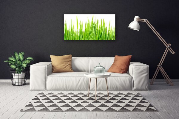 Tablou pe panza canvas Iarbă Natura verde