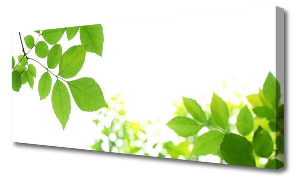 Tablou pe panza canvas Petale Floral Alb Verde