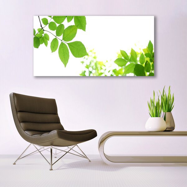 Tablou pe sticla Petale Floral Alb Verde