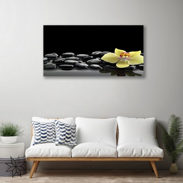 Tablou pe panza canvas Pietre de flori Bucătărie Galben Negru