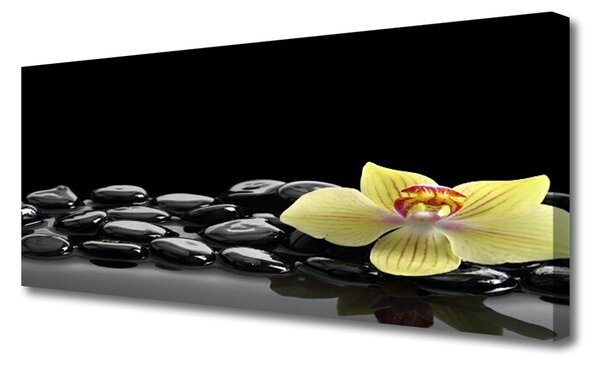 Tablou pe panza canvas Pietre de flori Bucătărie Galben Negru