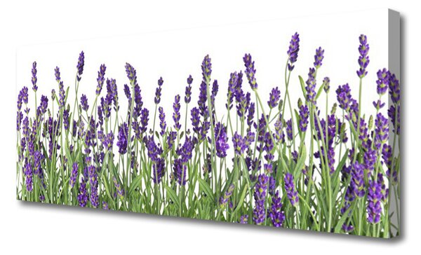 Tablou pe panza canvas Flori Floral violet