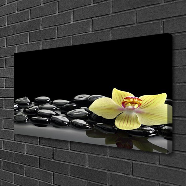 Tablou pe panza canvas Pietre de flori Bucătărie Galben Negru