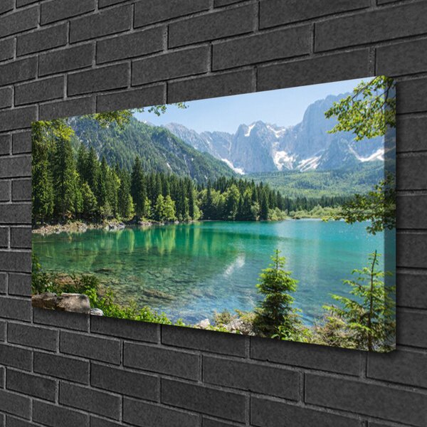 Tablou pe panza canvas Munții Seewald Natura Gri Verde Albastru
