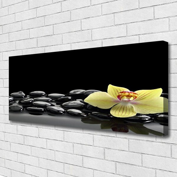Tablou pe panza canvas Pietre de flori Bucătărie Galben Negru