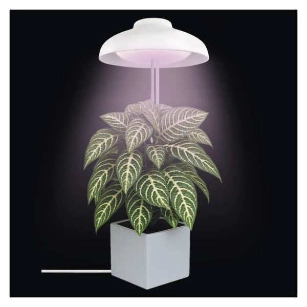 Lampă LED de interior pentru creșterea plantelor GROW LED/5W/5V