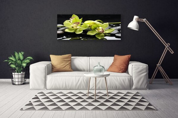 Tablou pe panza canvas Pietre florale flori verde negru