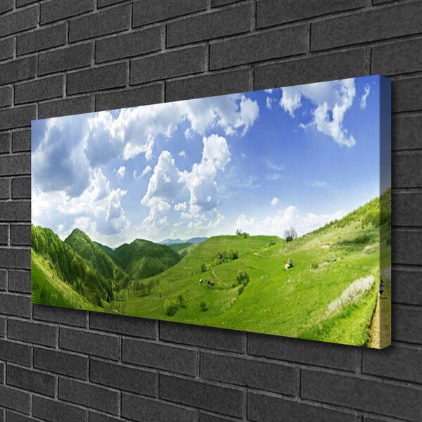 Tablou pe panza canvas Mountain Meadow Natura verde