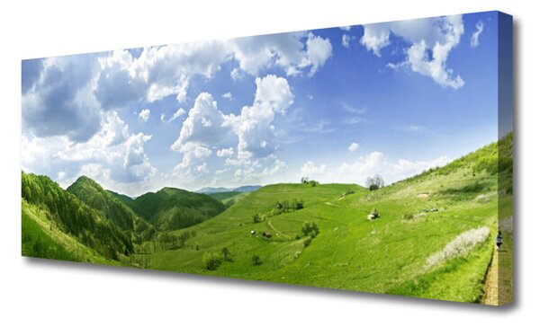 Tablou pe panza canvas Mountain Meadow Natura verde