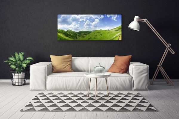 Tablou pe panza canvas Mountain Meadow Natura verde
