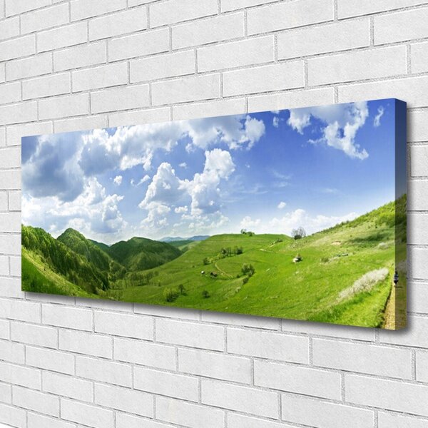 Tablou pe panza canvas Mountain Meadow Natura verde
