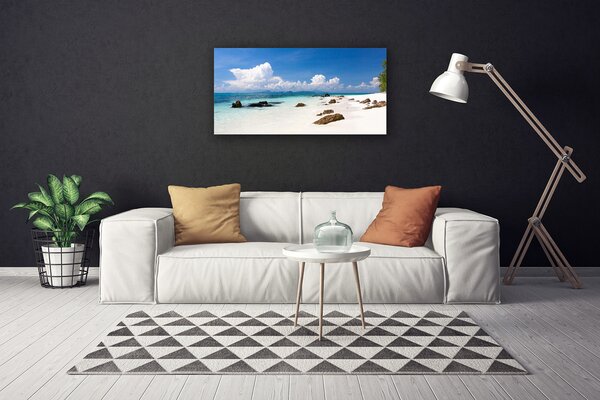 Tablou pe panza canvas Plaja Stones Peisaj Alb Gri
