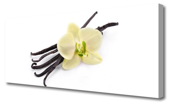 Tablou pe panza canvas Florale flori verde