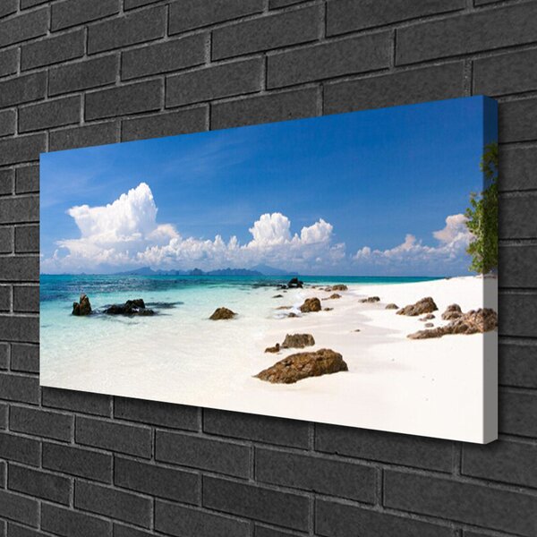 Tablou pe panza canvas Plaja Stones Peisaj Alb Gri