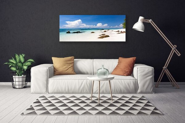 Tablou pe panza canvas Plaja Stones Peisaj Alb Gri