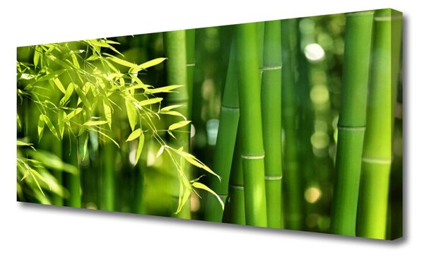 Tablou pe panza canvas Frunze de bambus verde florale