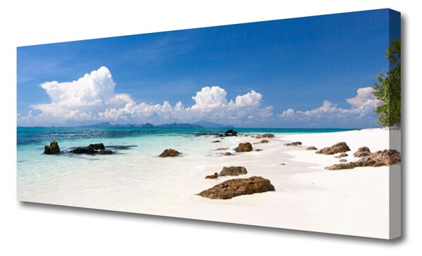 Tablou pe panza canvas Plaja Stones Peisaj Alb Gri