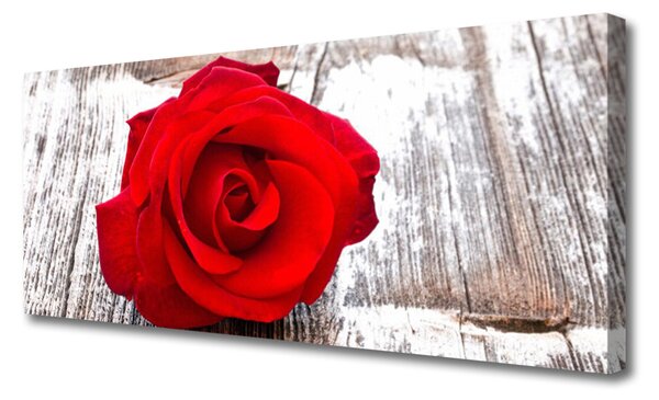 Tablou pe panza canvas Rose Floral Red