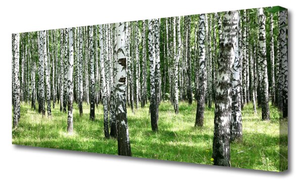 Tablou pe panza canvas Natural Pădurea Neagră Alb Verde