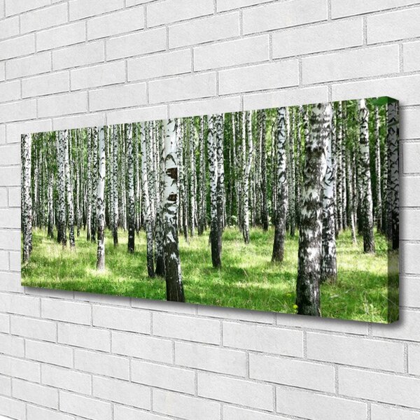 Tablou pe panza canvas Natural Pădurea Neagră Alb Verde