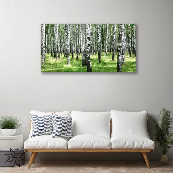 Tablou pe panza canvas Natural Pădurea Neagră Alb Verde