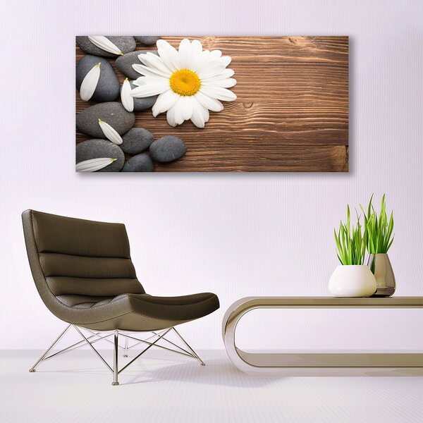 Tablou pe panza canvas Daisy pietre Floral Galben Alb Gri