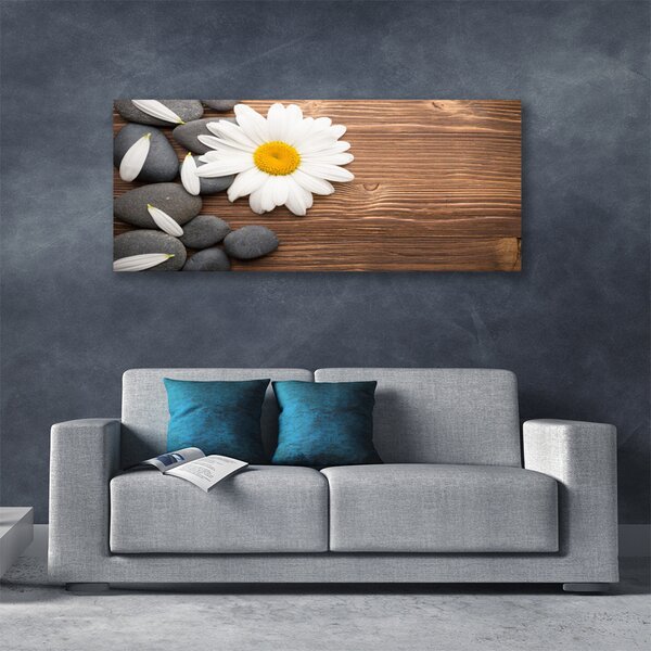 Tablou pe panza canvas Daisy pietre Floral Galben Alb Gri