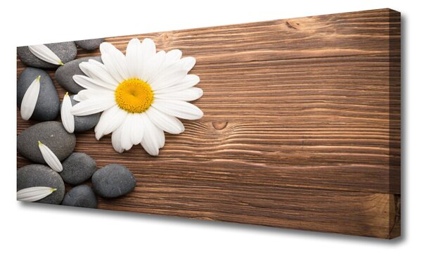 Tablou pe panza canvas Daisy pietre Floral Galben Alb Gri