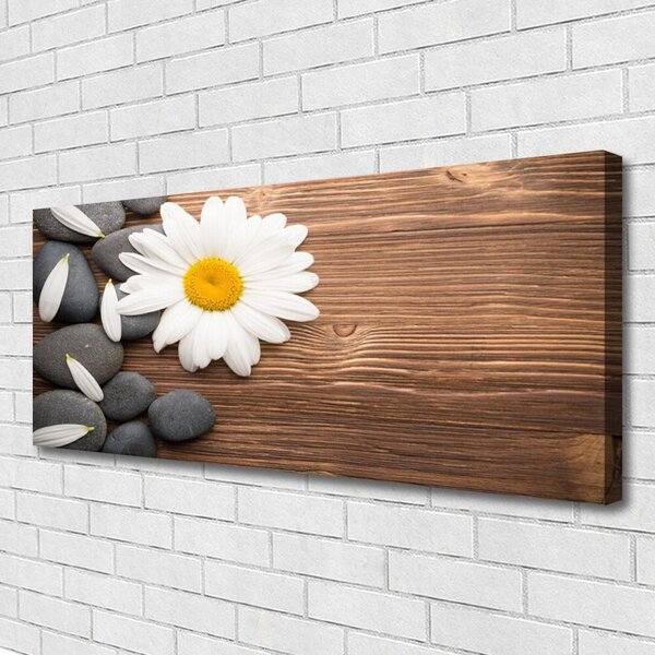 Tablou pe panza canvas Daisy pietre Floral Galben Alb Gri