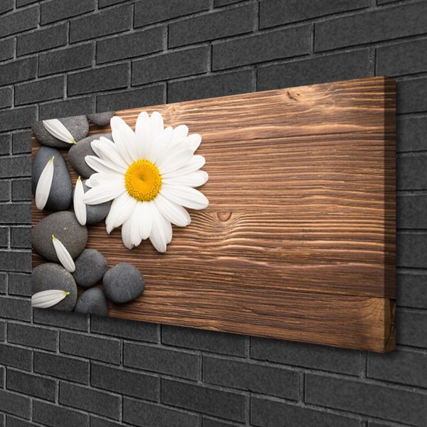 Tablou pe panza canvas Daisy pietre Floral Galben Alb Gri