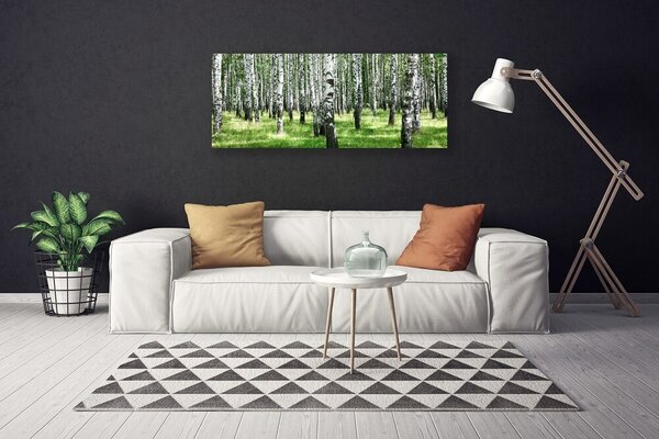 Tablou pe panza canvas Natural Pădurea Neagră Alb Verde
