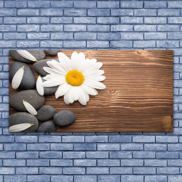 Tablou pe panza canvas Daisy pietre Floral Galben Alb Gri