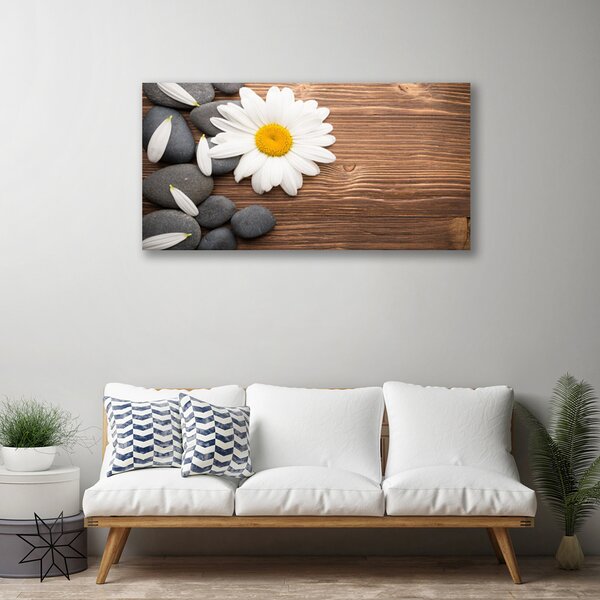 Tablou pe panza canvas Daisy pietre Floral Galben Alb Gri