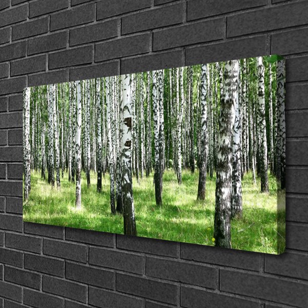 Tablou pe panza canvas Natural Pădurea Neagră Alb Verde