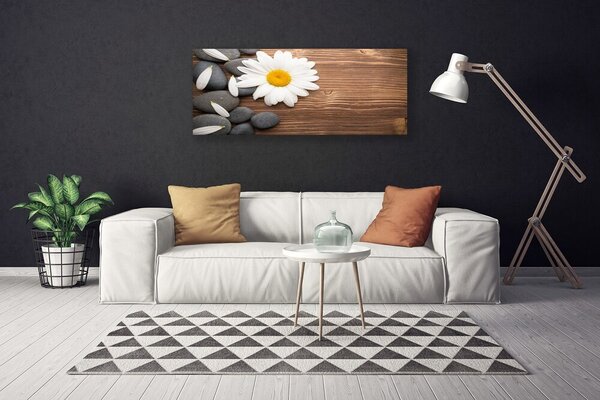 Tablou pe panza canvas Daisy pietre Floral Galben Alb Gri