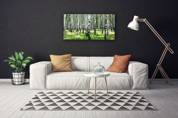 Tablou pe panza canvas Natural Pădurea Neagră Alb Verde