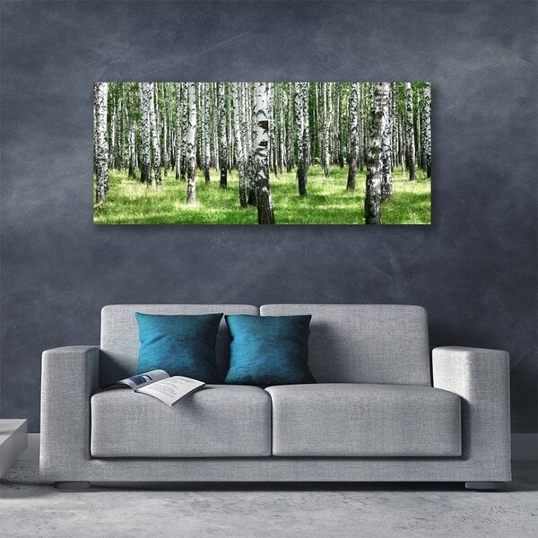 Tablou pe panza canvas Natural Pădurea Neagră Alb Verde