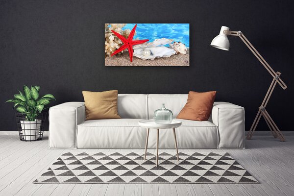 Tablou pe panza canvas Scoici Starfish Natura Roșu Alb