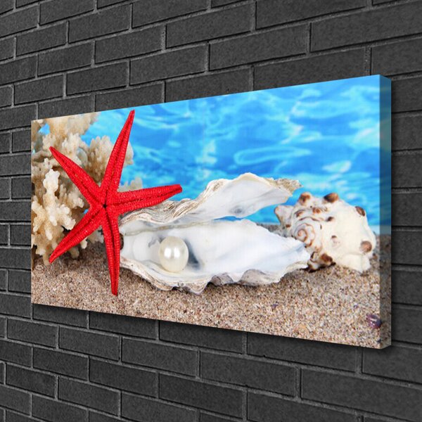 Tablou pe panza canvas Scoici Starfish Natura Roșu Alb
