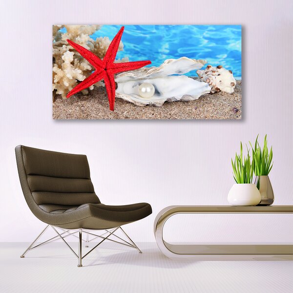Tablou pe panza canvas Scoici Starfish Natura Roșu Alb