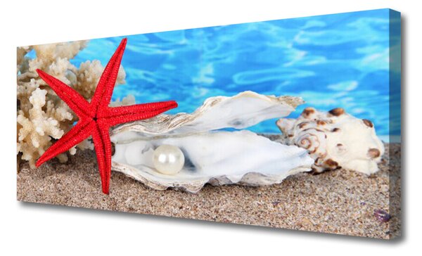 Tablou pe panza canvas Scoici Starfish Natura Roșu Alb