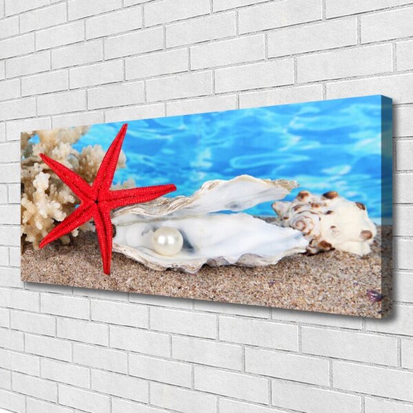 Tablou pe panza canvas Scoici Starfish Natura Roșu Alb