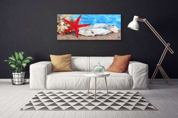 Tablou pe panza canvas Scoici Starfish Natura Roșu Alb