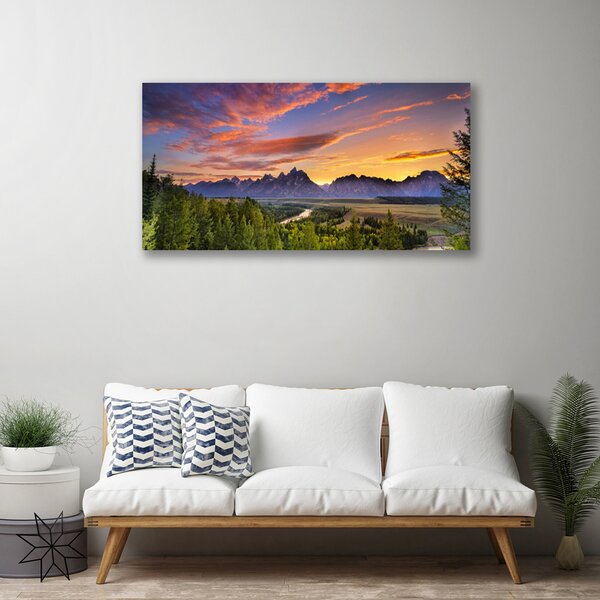 Tablou pe panza canvas Mountain Natural Pădurea Verde Gri