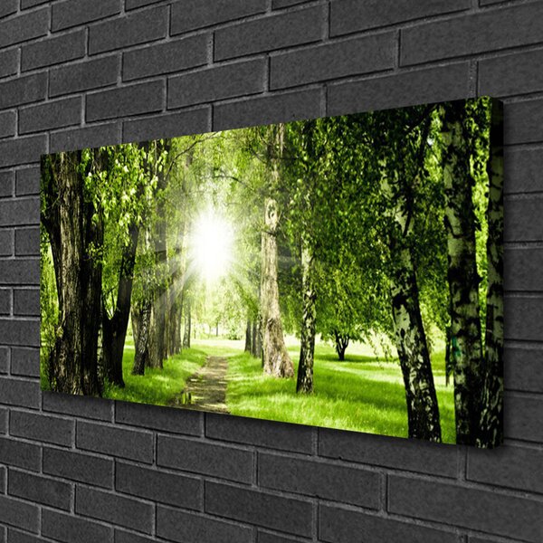 Tablou pe panza canvas Forest Soare Potecă Natura Brun Verde Galben