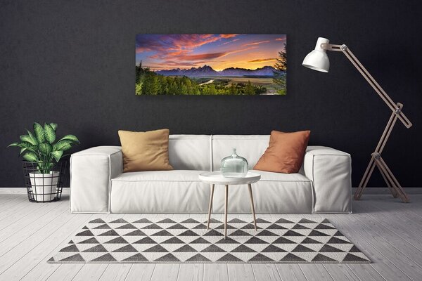 Tablou pe panza canvas Mountain Natural Pădurea Verde Gri