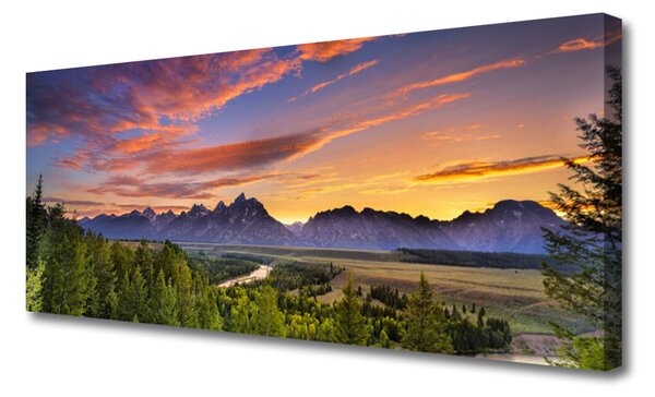 Tablou pe panza canvas Mountain Natural Pădurea Verde Gri
